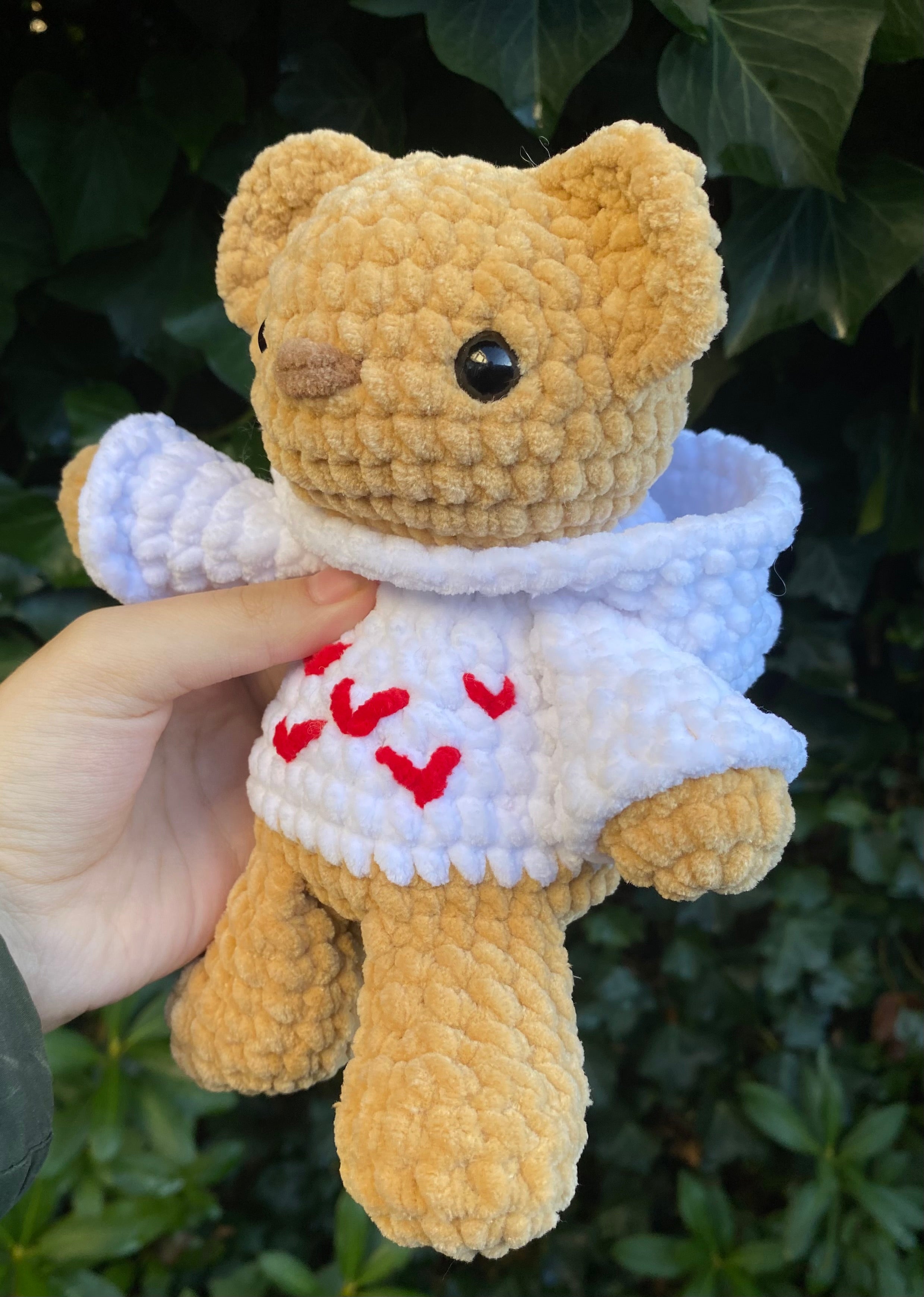 Bear with Hoodie Plushie