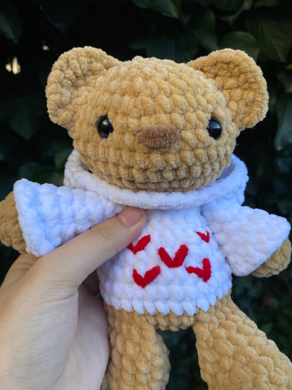 Bear with Hoodie Plushie