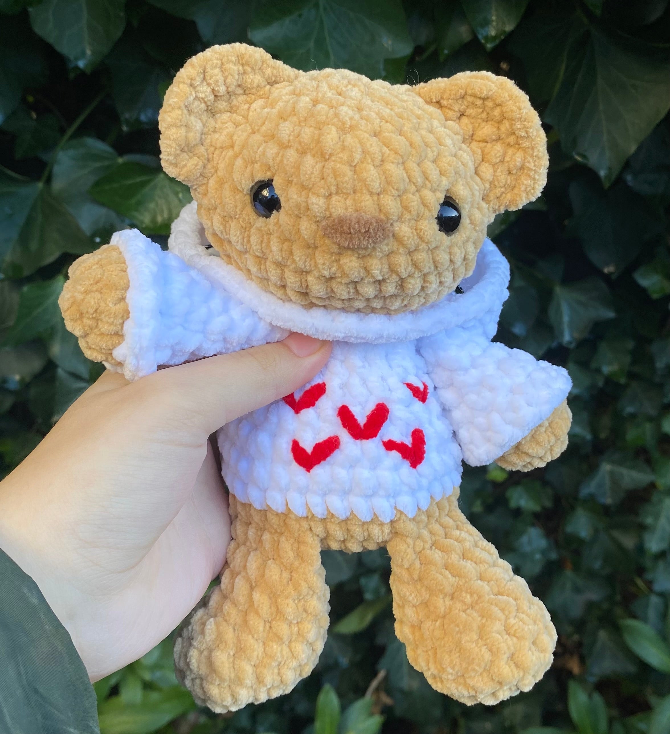 Bear with Hoodie Plushie