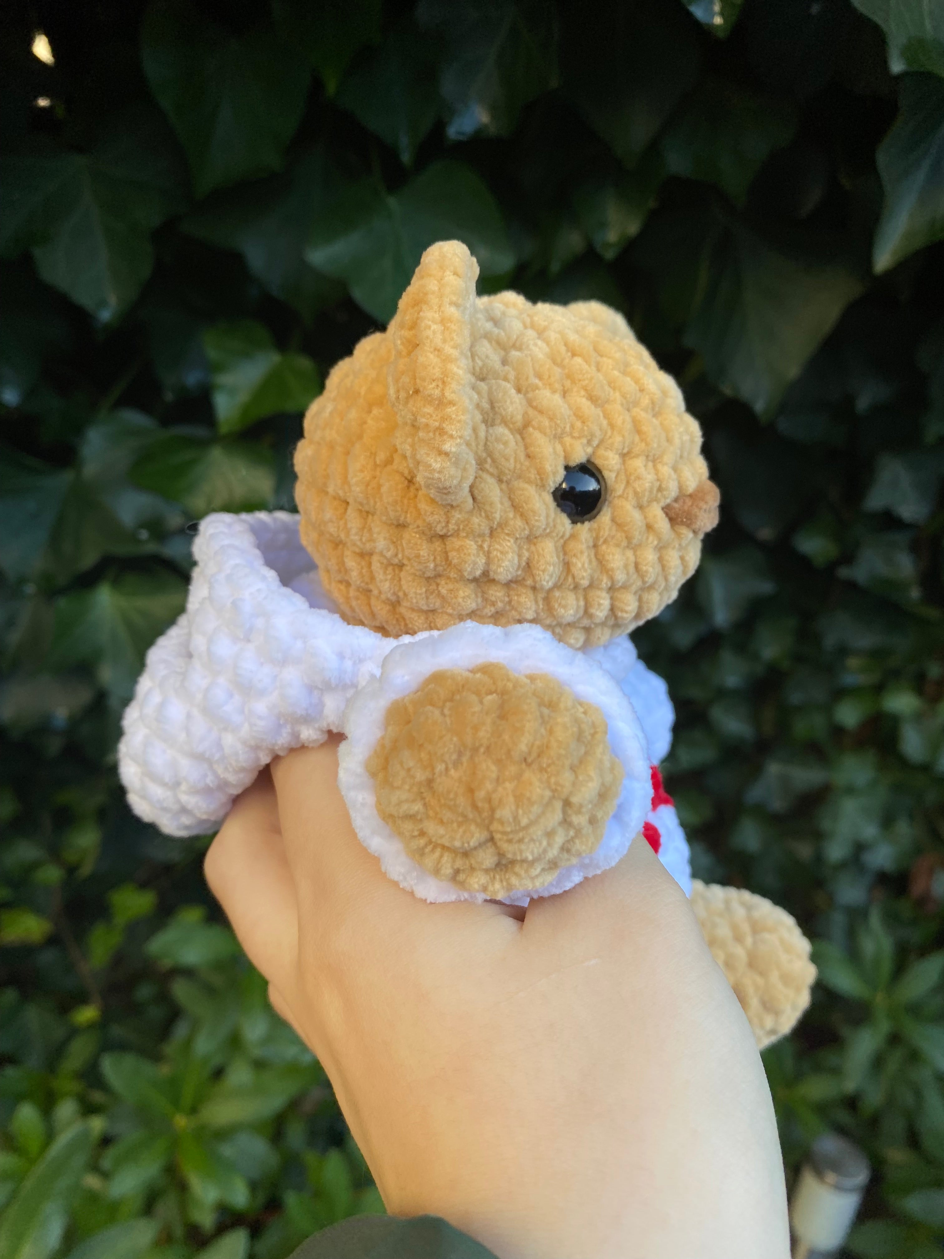 Bear with Hoodie Plushie